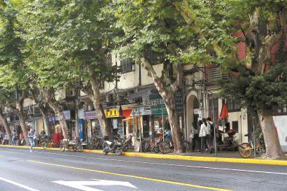 　　黄浦区44街坊（零星）居民总证数82证，沿马路的住户旧改意愿非常强烈。蒋迪雯 摄