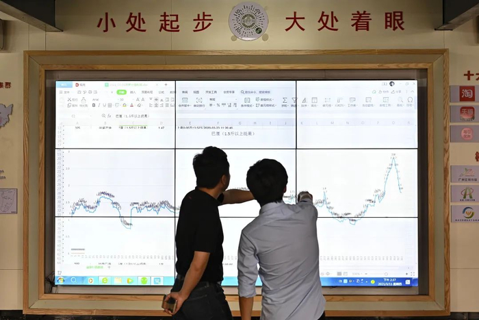 采购商在菠萝电商产地直供基地看徐闻菠萝大数据。图源：视觉中国