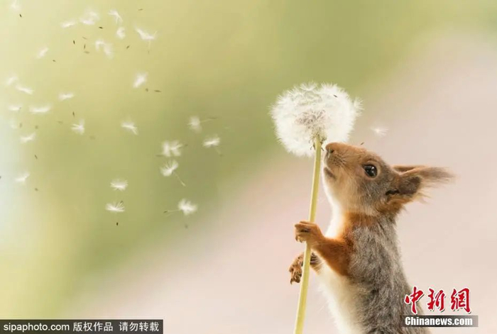 图片来源：Sipaphoto版权作品 请勿转载