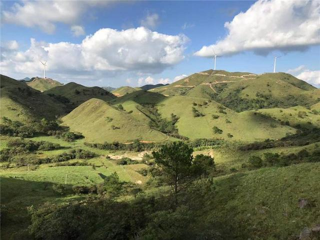 龙胜南山草原。自治区林业局荒漠草原处供图