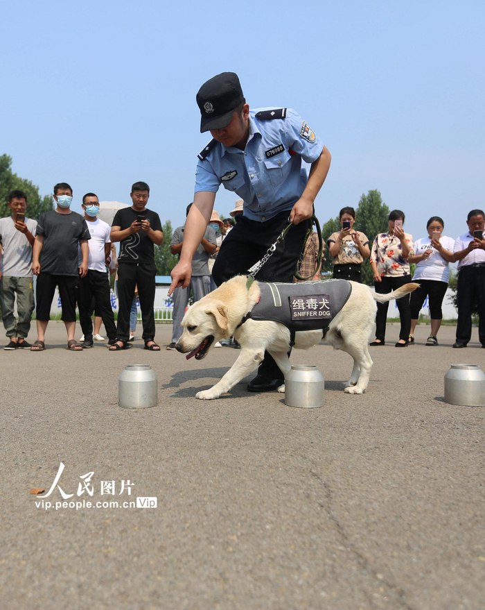 缉毒犬展绝技|警犬|缉毒犬_新浪新闻