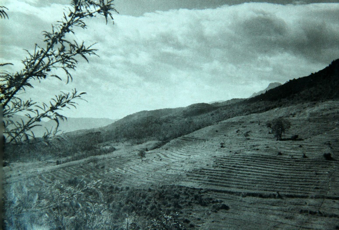 当年光秃秃的大亮山