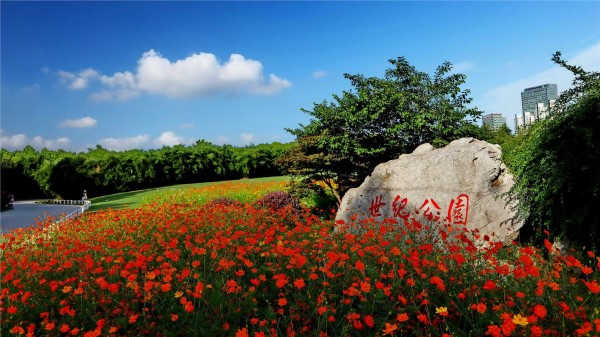 图说：世纪公园。浦东生态环境局供图（下同）