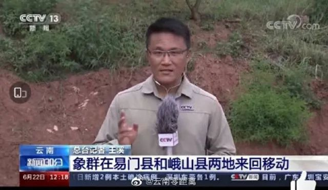 ▲6月22日的报道截图