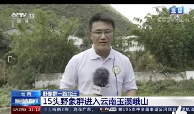 ▲5月29日的报道截图