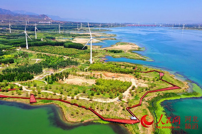 位于张家口市怀来县的官厅水库国家湿地公园风景如画。 马佳琦摄