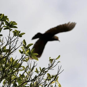 领导力与职权区别_领导力_领导力构建方法