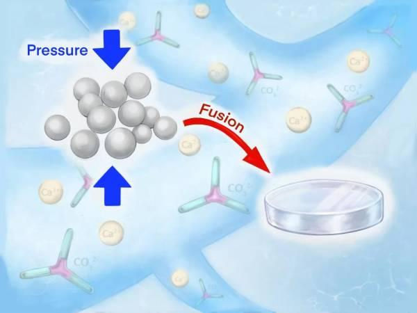 图源：微信公众号“浙江大学”，绘图：高裕华 