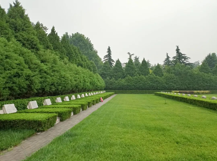 华北军区烈士陵园墓区一角（6月9日摄）。采访对象供图