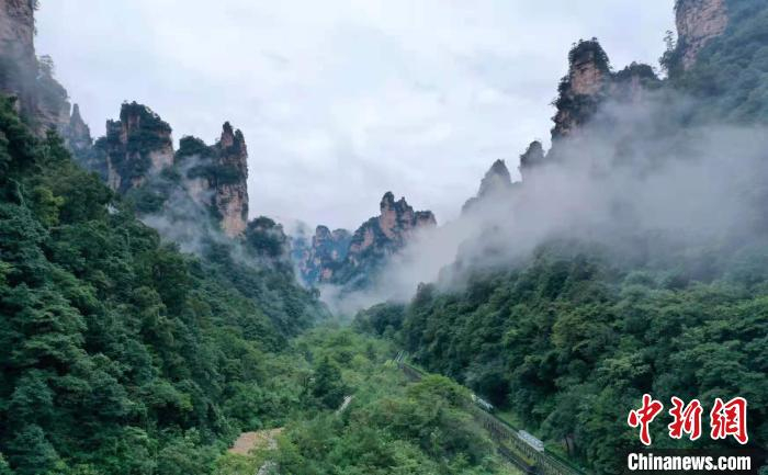 张家界武陵源向全国师生送福利。　吴勇兵 摄