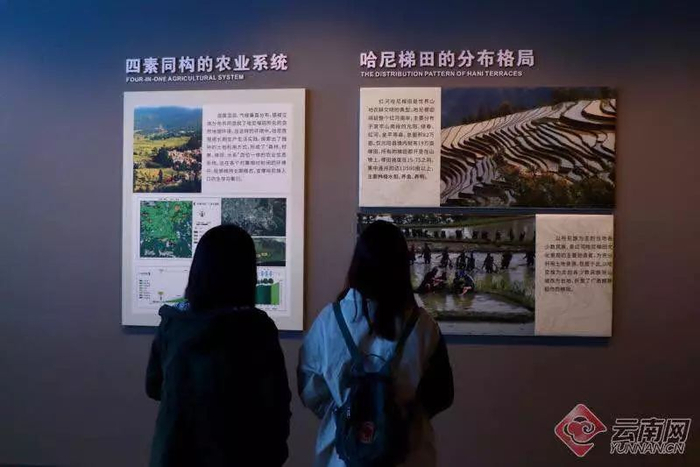 博物馆内参观的游人 赵黎浩 摄