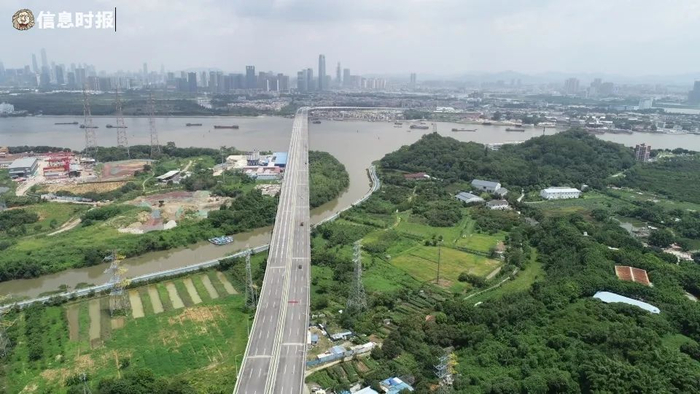 信息时报记者 陈引 摄