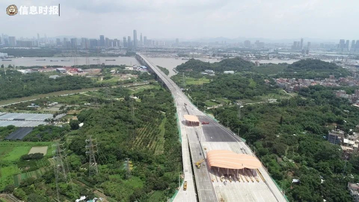 信息时报记者 陈引 摄