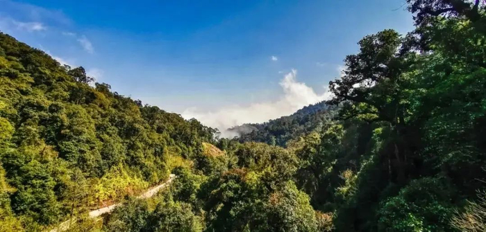 图源：“苗乡屏边”微信公众号