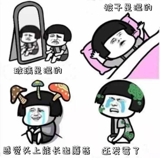 只有身在其中的江南人民才知道梅雨季的心碎。