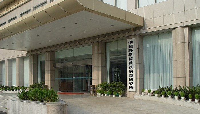 图片来源：武汉病毒研究所