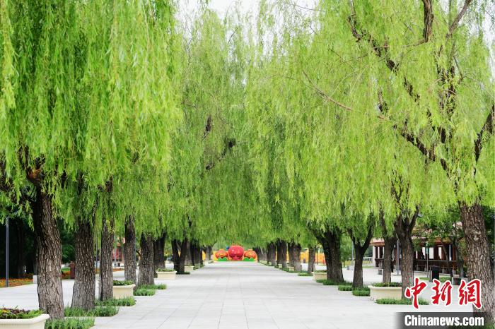 劳模大道。　铁西区委宣传部 供图