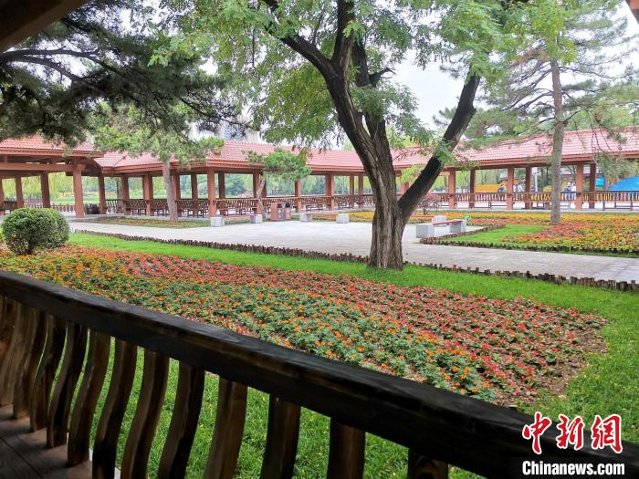 改造后的公园，风景如画。　赵桂华 摄