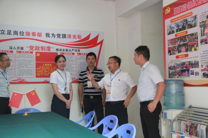 （广东龙光集团有限公司南宁党支部现场图，企业供图，央广网发）