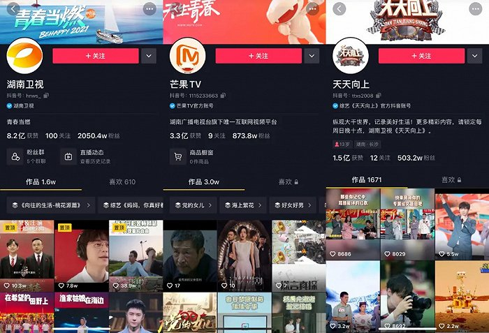 “芒果系”相关抖音账号截图