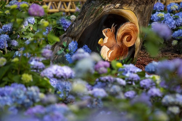 图说：森林里来了一群”小动物“ 来源/采访对象供图（下同）