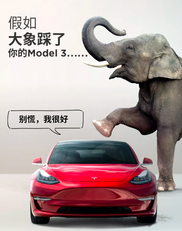  特斯拉model3车型的海报。