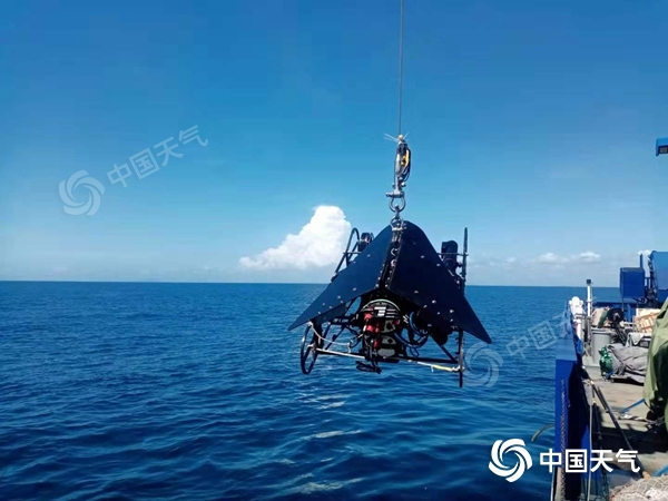 海洋浮游生物视频记录仪下放入水，观测海洋上层的浮游生物。（图/于卫东）