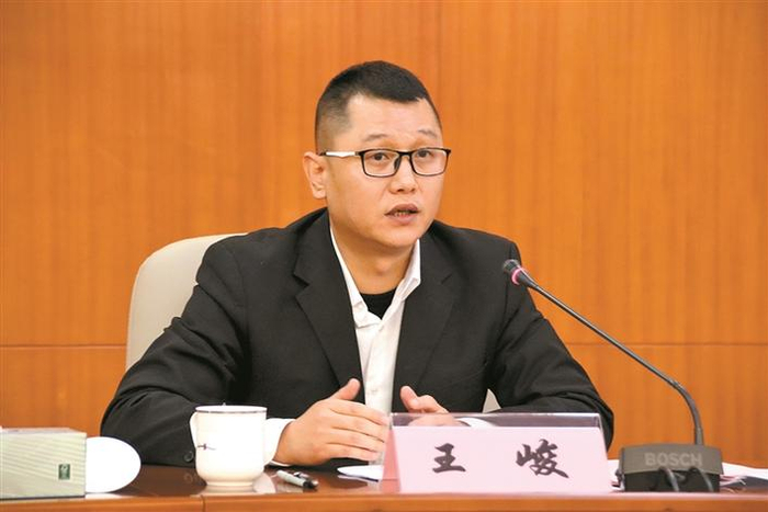 王峻:全部身心投入深圳法治化建设