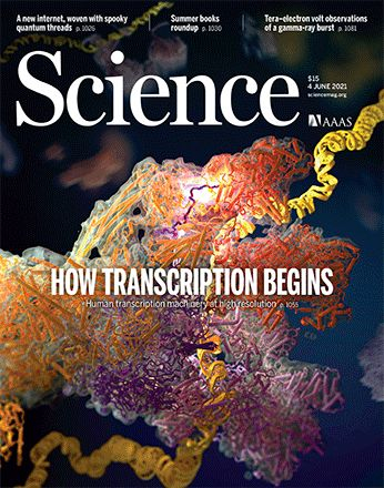 在上世纪90年代，科学家们发现一个功能非常重要的转录共激活因子，命名为中介体（Mediator）。Mediator由26个蛋白所组成，分子量1.5兆道尔顿。由于人体中绝大多数活跃基因都需要Mediator才能够实现高表达。因此，对Mediator及PIC-Mediator复合物的研究是转录领域的核心。