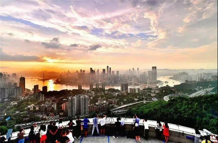 南山一棵树观景台  图：重庆市南山植物园管理处