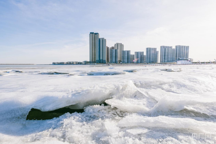 （实景图，企业供图，央广网发）