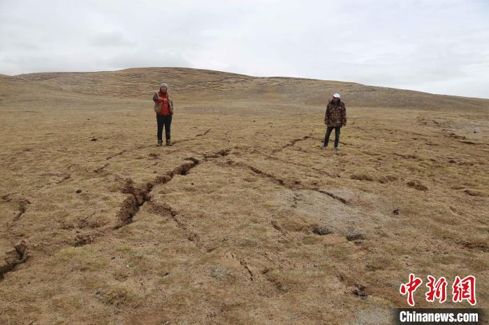 图为地裂缝带内共轭剪节理。　青海省地质调查院 供图