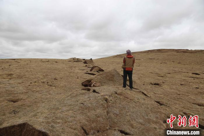 图为地震鼓包。　青海省地质调查院 供图