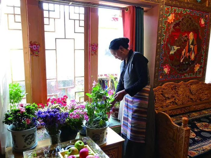 5月25日，阿嬢格绒在自家民宿的客厅里侍弄鲜花。新京报记者 韩沁珂 摄