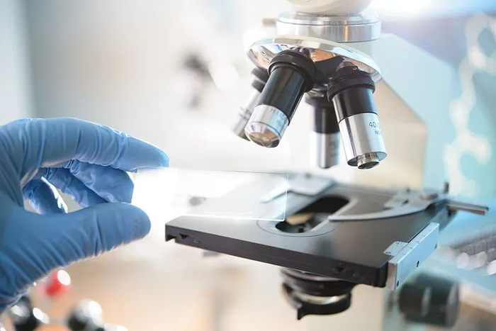 图片来源：视觉中国