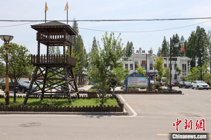 图为乌林镇环境干净整洁 张畅 摄
