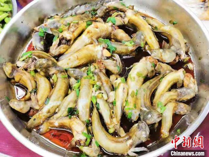 清蒸鳁鱼。 李晓春 摄