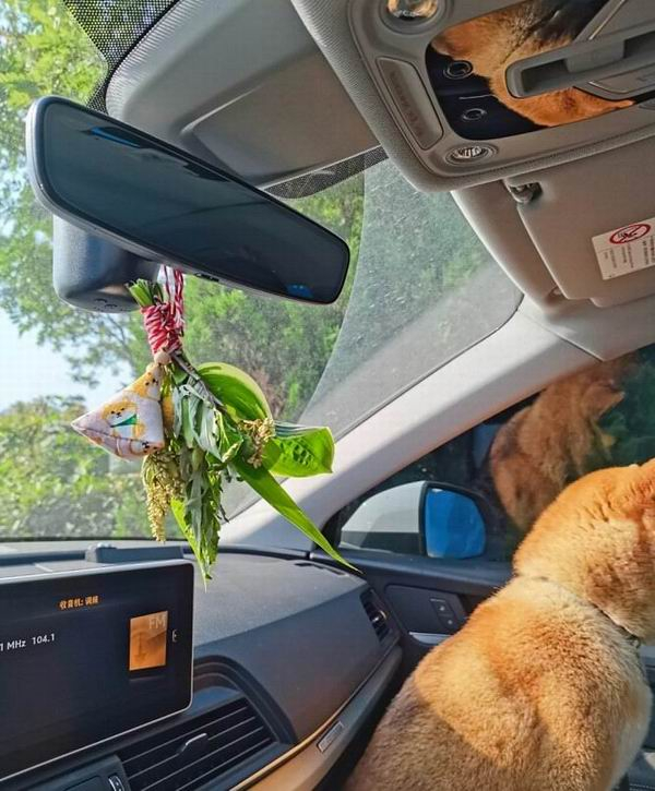 小红书@在野与露florastudio