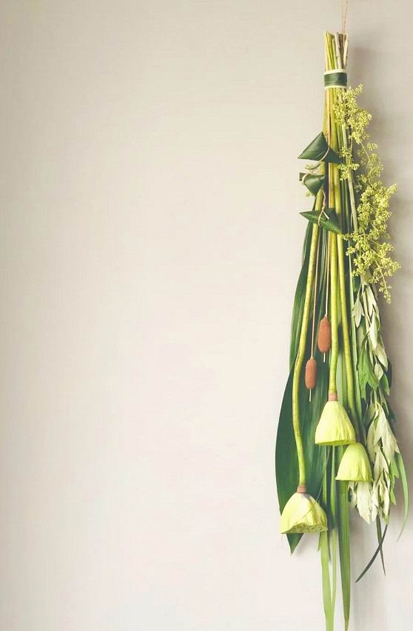 小红书@OllieOllie2020