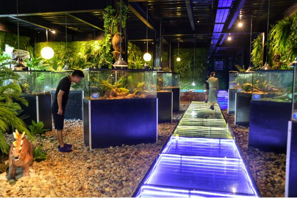 　　翡翠湾生态馆（央广网发 龚雯摄）