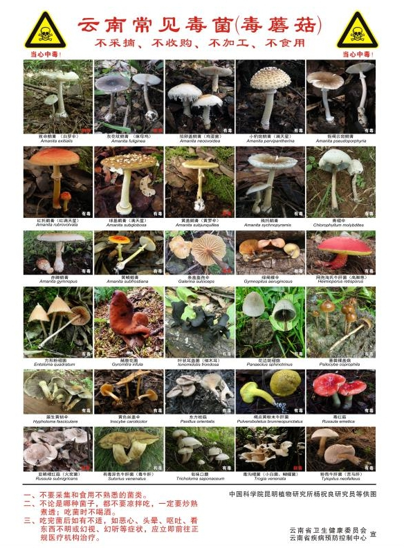 新京报记者 刘欢 图片来源 云南省疾控中心官网截图