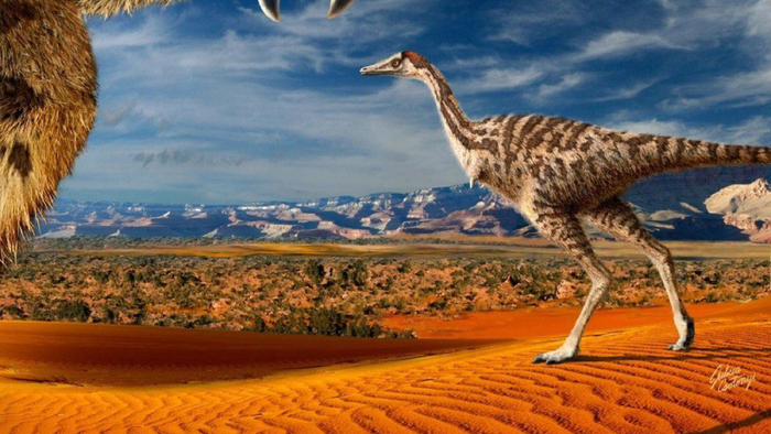 白垩纪末期中国发现的一种仅有一个手指的小型阿尔瓦雷斯龙类——单指临河爪龙。中科院古脊椎所供图