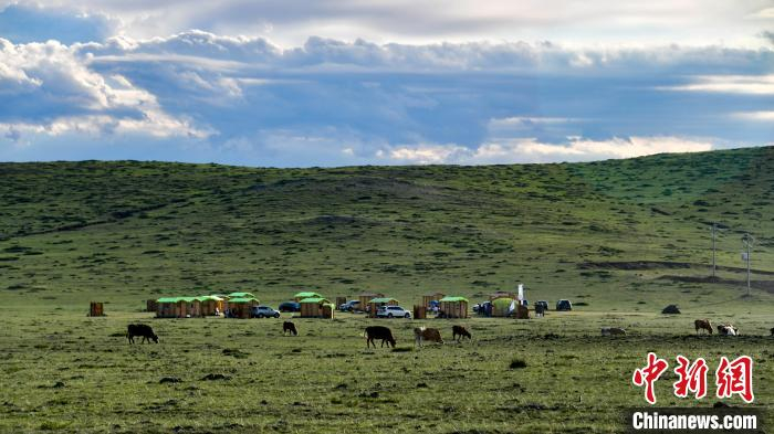 图为草原上的生态木屋营地。　段建宁 摄