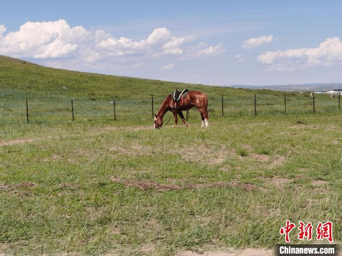 图为锡林郭勒大草原 李爱平 摄