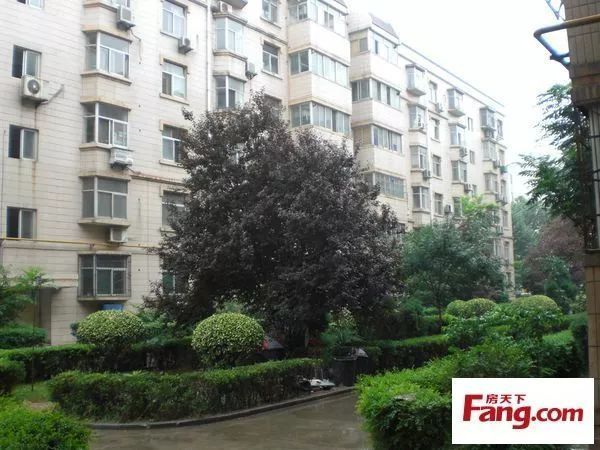 贺兰房产市场动向与发展趋势