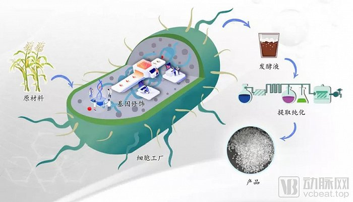 合成生物学的“高效细胞微工厂”示意图