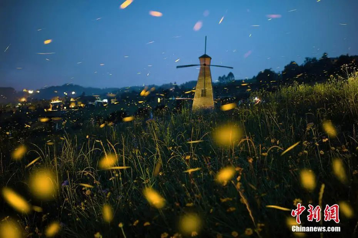 老黑 摄 图片来源：视觉中国