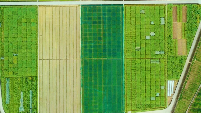 万州农田美景（资料图） 万州区委宣传部供图