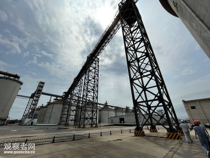 唐山直属库已投入使用的粮仓&nbsp;&nbsp; 图：观察者网