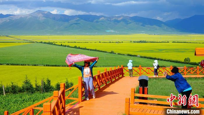 图为游客在海北州门源县百里花海景区。　海东 摄